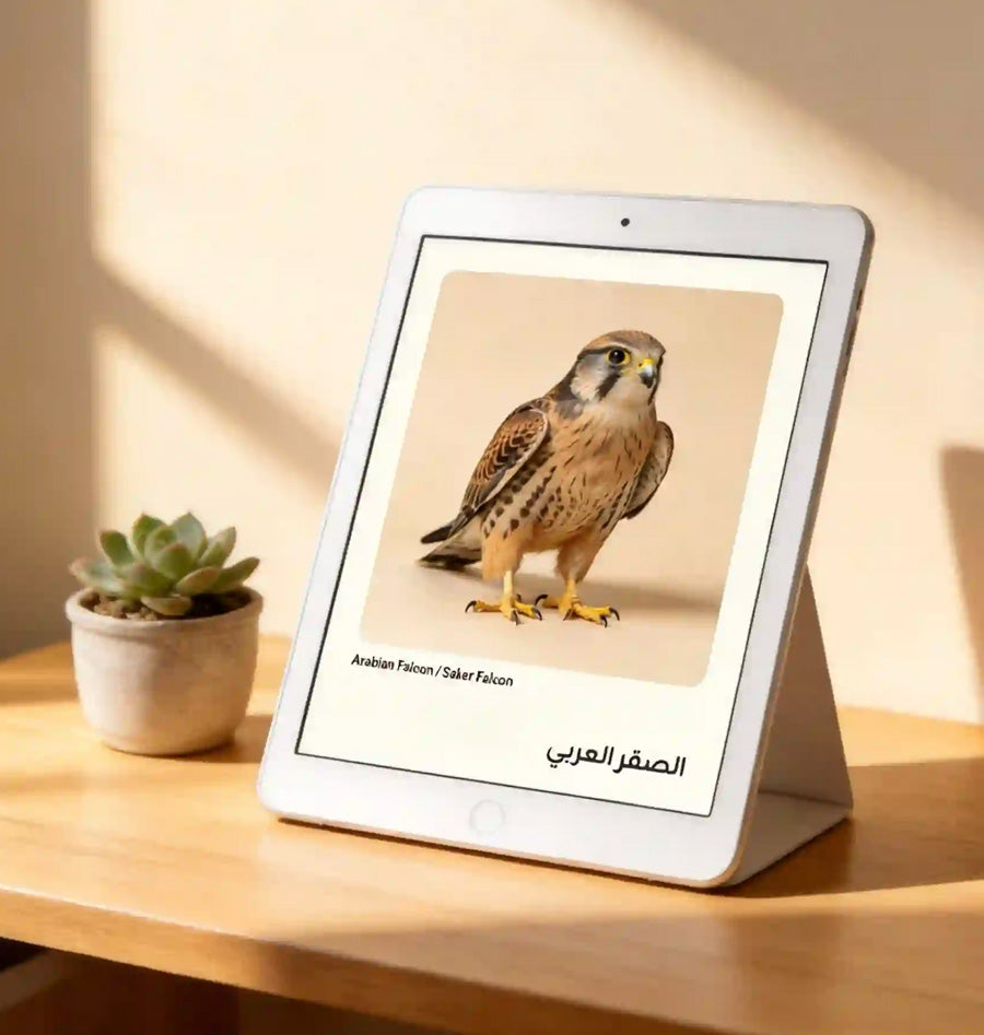 بطاقات حيوانات الصحراء للأطفال | PDF
